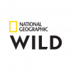 Logo National Geographic Wild